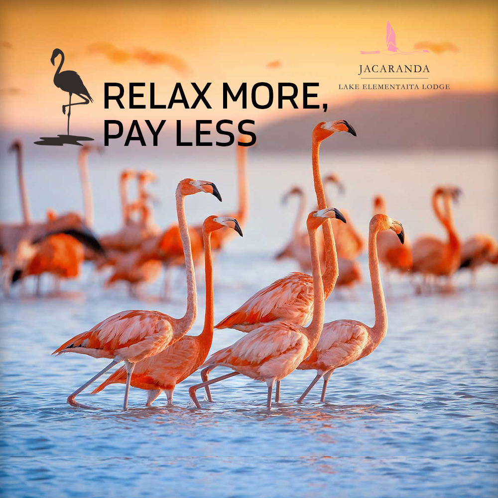 lel-relax-more-web at Jacaranda Hotels